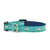 Up Country Shark Small Breed Dog Collar
