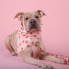 Up Country Strawberry Bandana