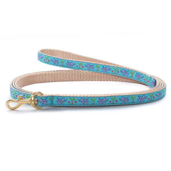 Up Country Trunk Show Small Breed Dog Lead