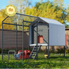 The Smart Coop Unlimited+ (+ Free Chicks! 🐣)