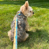 Rocky Mountain Dog Paw Mountain Dog Collar