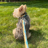 Rocky Mountain Dog Paw Mountain Dog Leash