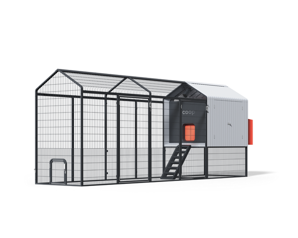 The Smart Coop + Steel Run (+ Free Chicks! 🐣)