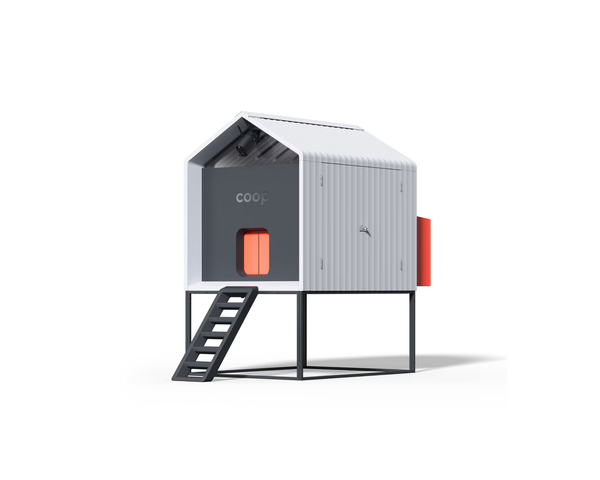 The Smart Coop + Steel Run (+ Free Chicks! 🐣)