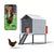 The Smart Coop + Base (+ Free Chicks! 🐣)