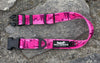 Rocky Mountain Dog Cascade Alpine Dog Collar