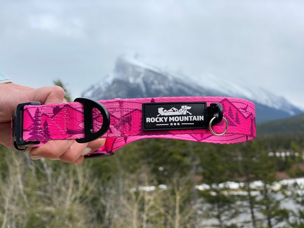Rocky Mountain Dog Cascade Alpine Dog Collar