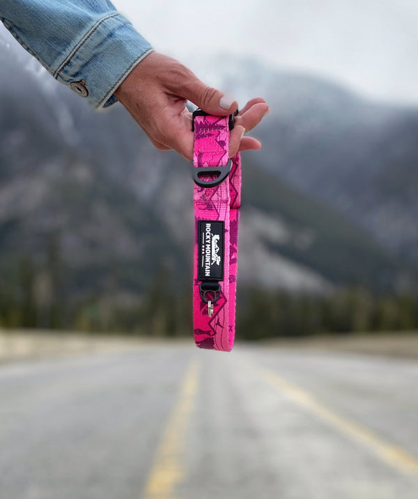 Rocky Mountain Dog Cascade Alpine Dog Collar