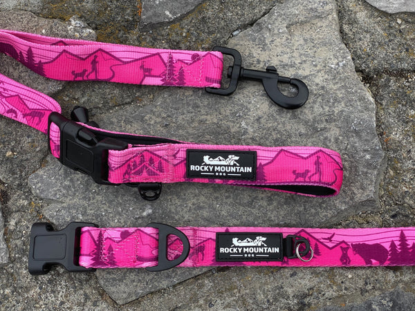 Rocky Mountain Dog Cascade Alpine Dog Collar