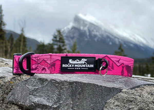 Rocky Mountain Dog Cascade Alpine Dog Collar