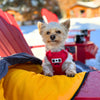 Rocky Mountain Dog Yukon Dog Sleeping Bag