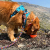 Rocky Mountain Dog Collapsible Silicone Dog Bowl
