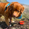 Rocky Mountain Dog Collapsible Silicone Dog Bowl