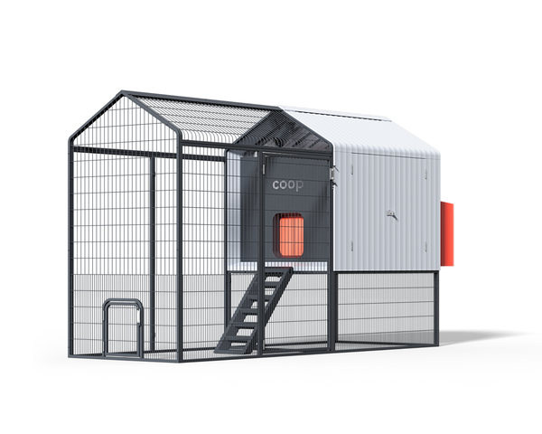 The Smart Coop + Steel Run (+ Free Chicks! 🐣)
